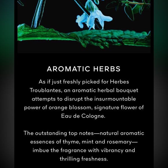 Guerlain L'ART & LA MATIÈRE HERBES
TROUBLANTES - EAU DE PARFUM - Picture 10 of 11